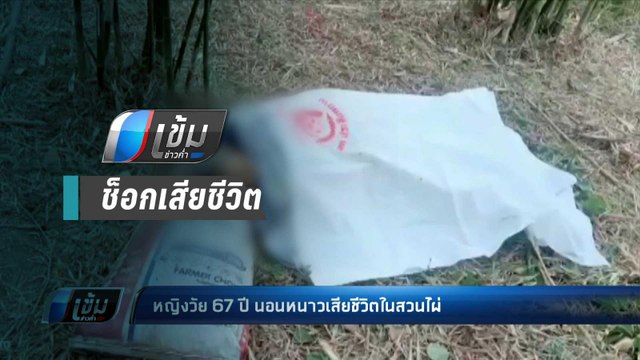 หญิงวัย 67 ปี นอนหนาวเสียชีวิตในสวนไผ่ คาดอากาศเย็นจึงช็อก - เข้มข่าวค่ำ
