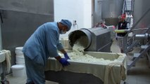 Sivas'ta üretilen peynirler, 15 ülkeye ihraç ediliyor