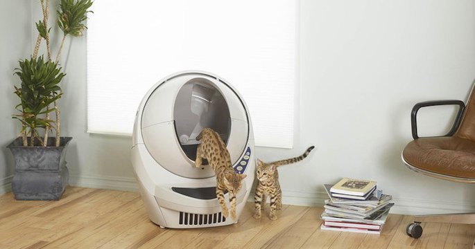 Litter Robot III, la litière autonettoyante qui va changer votre vie et celle de votre chat