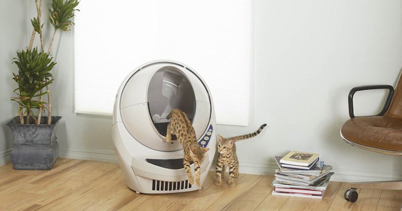 Litter Robot III, la litière autonettoyante qui va changer votre vie et celle de votre chat