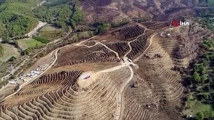 Muğla ve Aydın’da 2019’da 1 milyon fidan toprakla buluştu