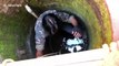 Civet rescued from 10ft deep well in western India