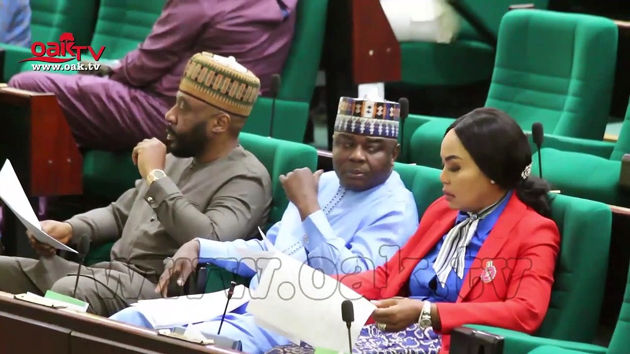 Reps want FG to review decision restricting SON, NAFDAC from accessing ports, boarders
