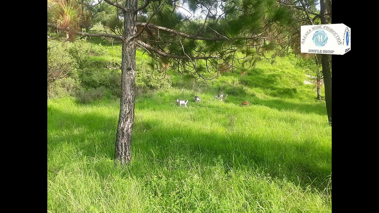 Hindko old mahiye Master Hussain bakhsh by Hazara Music Production