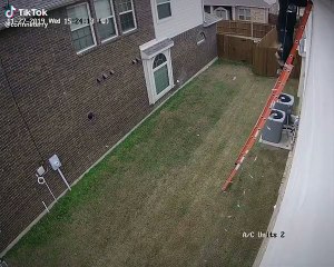 Un homme se retrouve dans une sale galère en montant sur une échelle pour mettre les décorations de Noël