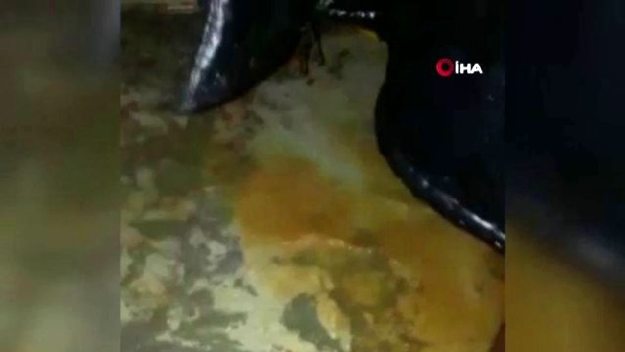 İdlib'teki kampları sel vurdu