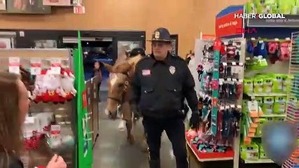 Polis atından evcil hayvan dükkanı teftişi