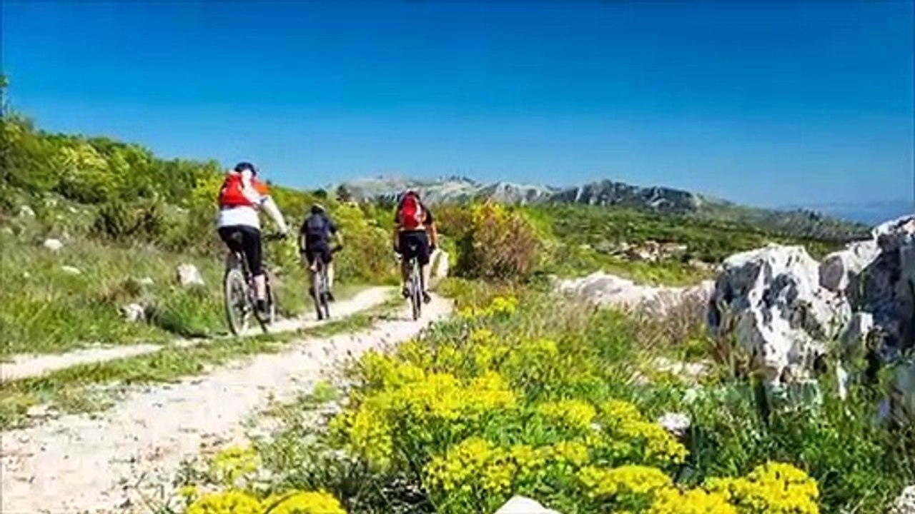 Reisenachrichten der Woche 10122019