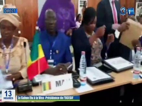 RTG/Le président du conseil économique social et environnemental prend part l’élection de l’union des conseils économiques et sociaux