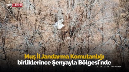 Muş'ta 5 teröristin etkisiz hale getirildiği operasyonun görüntüleri paylaşıldı