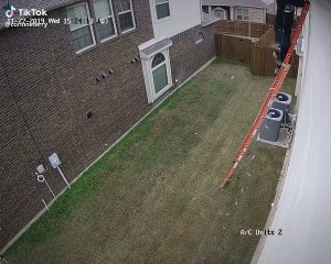 Monter à l'échelle pour mettre les décorations de Noël