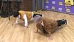[IDOL RADIO] JI HOON&RICKY do push-ups!♨♨