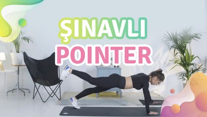 Şınavlı pointer - Sağlığa bir Adım