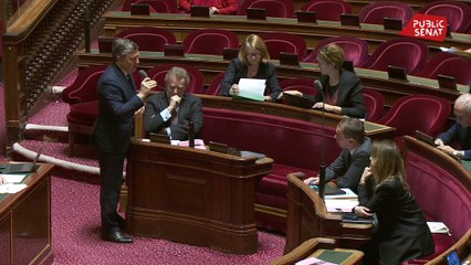 Le Sénat adopté le budget 2020 après l'avoir modifié