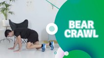 Bear Crawl - Du Bist Fit