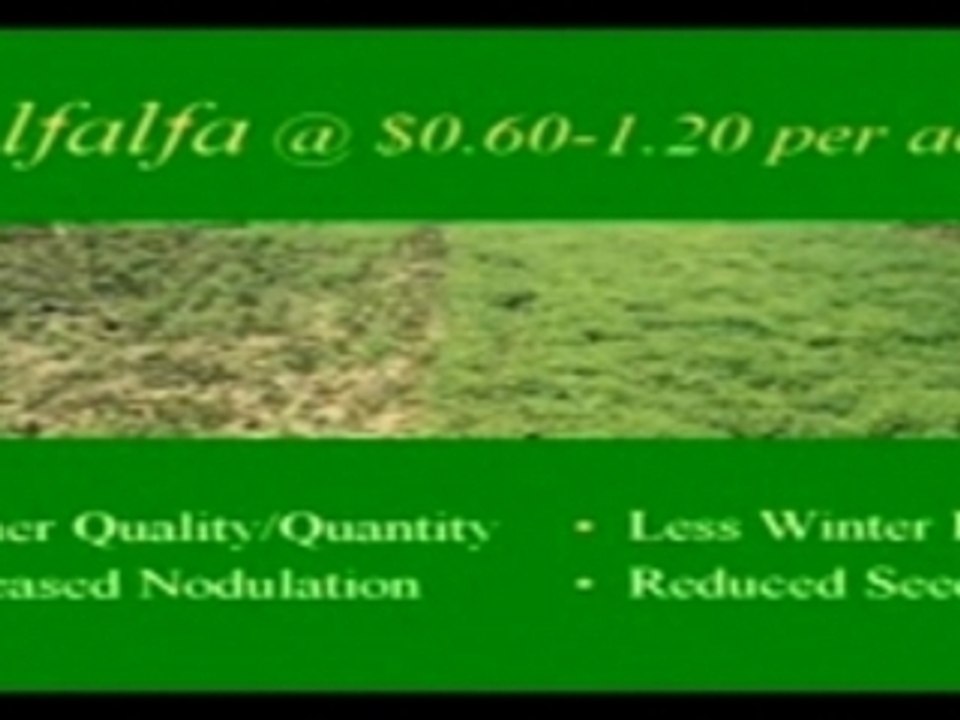 Corn, soybeans, alfalfa, wheat Part 1