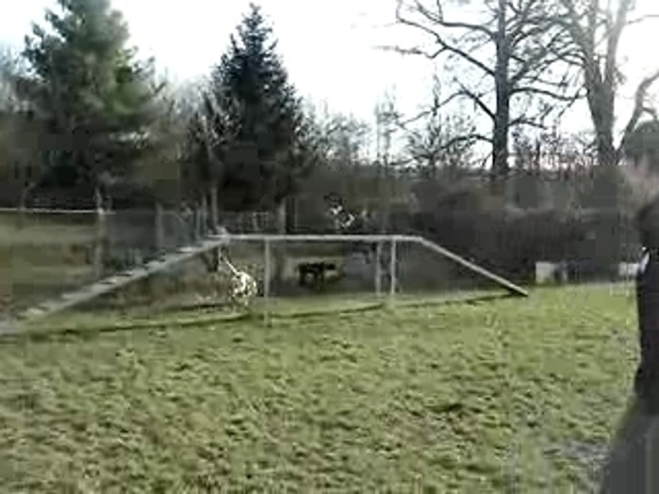 Freeckles MOV02103