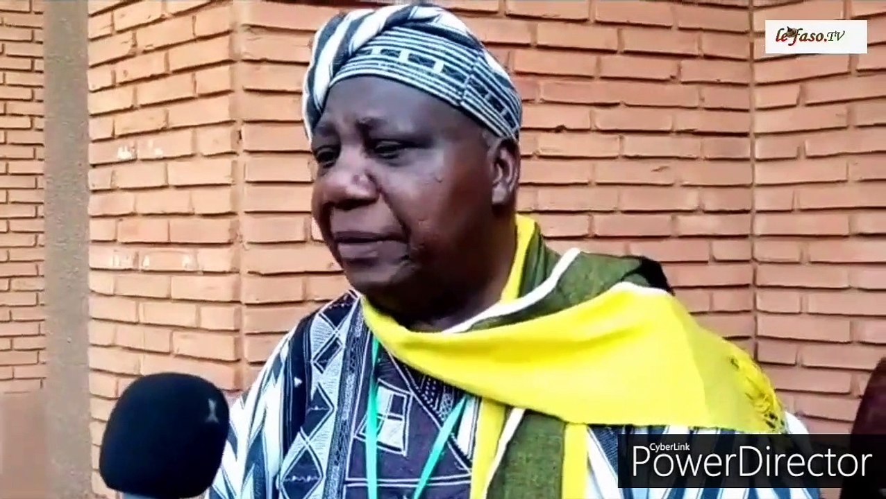 Ciné droit libre  les blancs sont instinctivement dominateurs. Mais on va les guérir. Pr Théophile Obenga