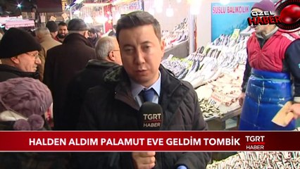 Uskumru ve Tombik Balığı "Palamut" Etiketiyle Satışta