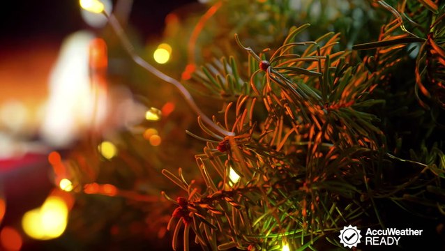 Tips to prevent your Christmas tree from catching fire