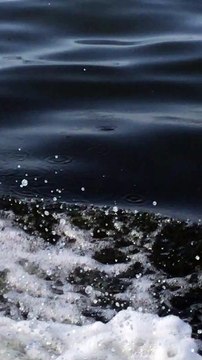 Commercial menhaden boats are a threat to Louisiana’s billion-dollar recreational-fishing industry.