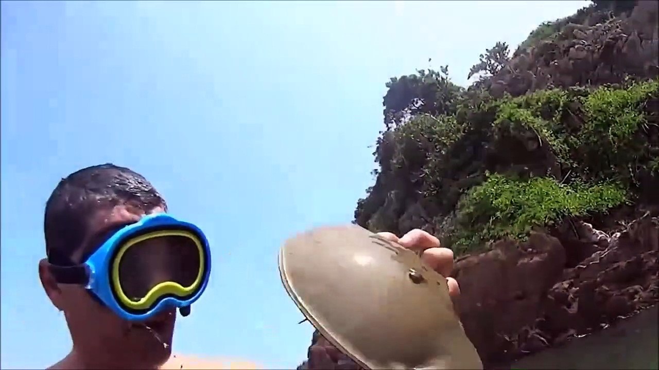 Ce qu'il va sortir de l'eau est incroyable : fossile vivant limule