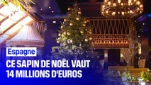 Ce sapin de Noël vaut plus de 14 millions d'euros, il est le plus cher du monde