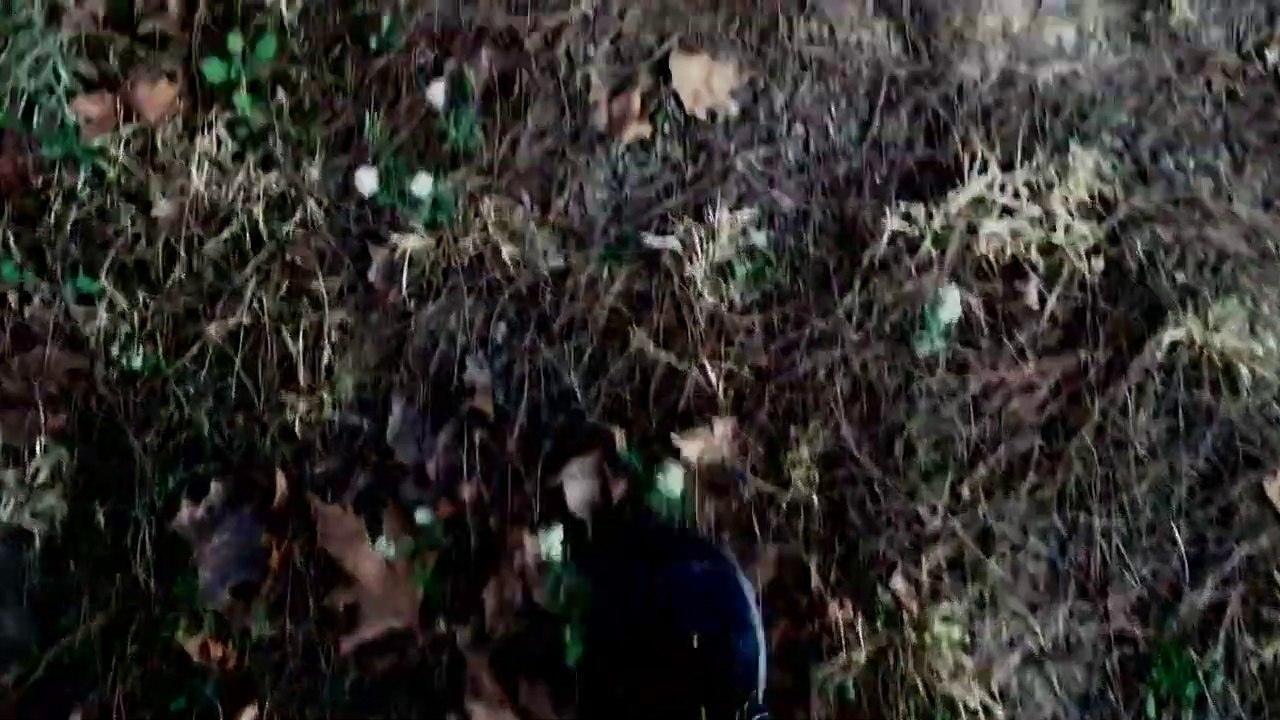 yaprakların çığlıkları / joseph erdem şiirleri