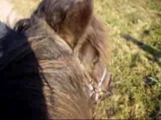 Ballade poneys avec Marine