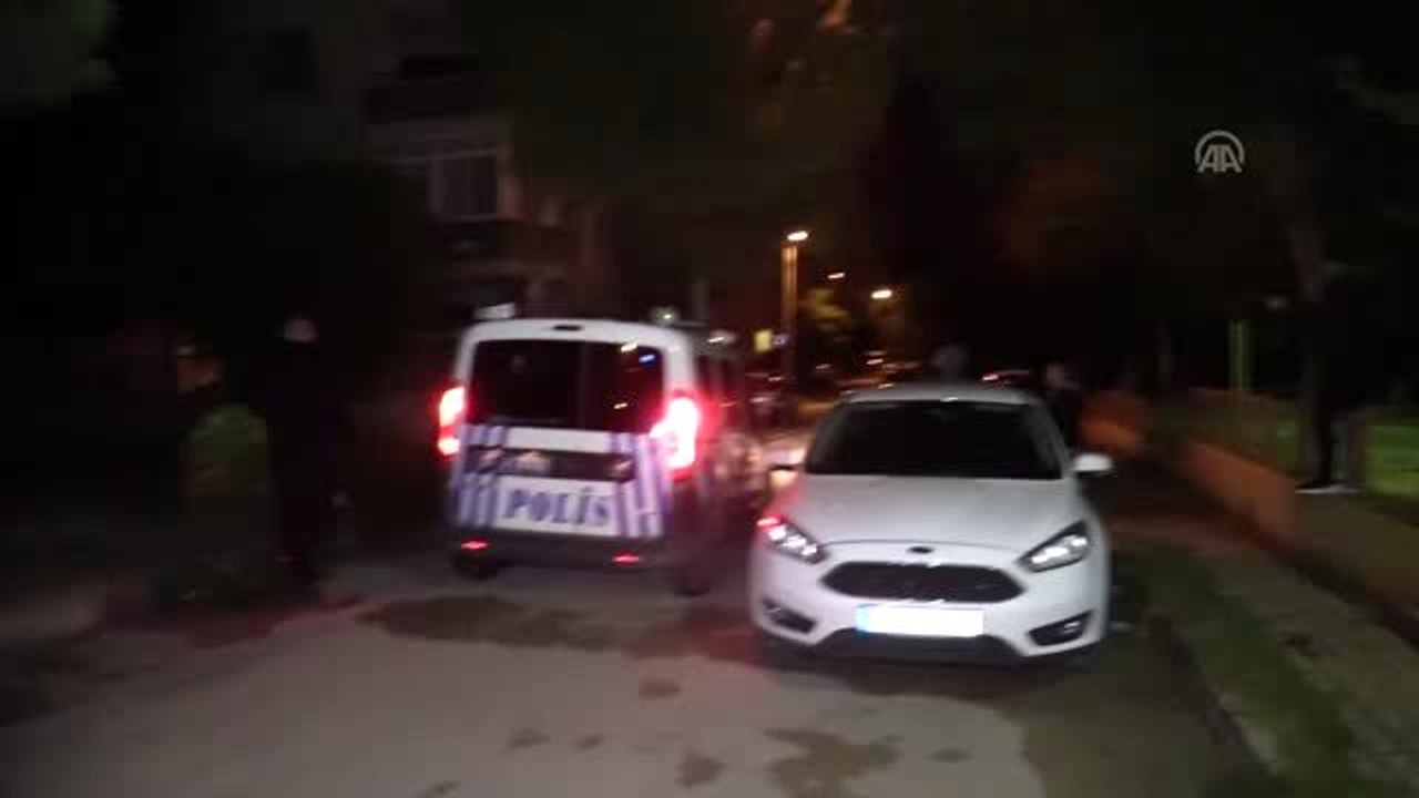 Şehre domuz indi