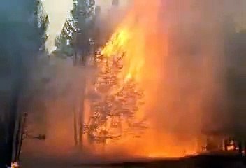 Free Stock Footage Forest Fire