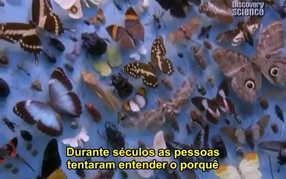 Richard Dawkins - A Grande Questão 1 - Legendado