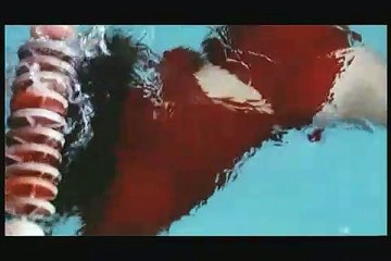 NENETTE + BONI - Coming to DVD 5/26