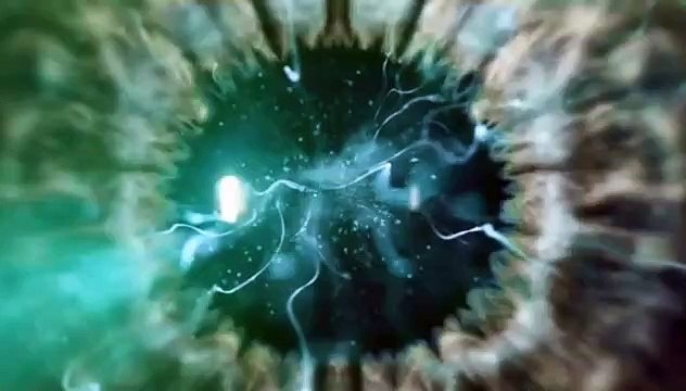 Richard Dawkins: Faith School Menace? (1 of 4)