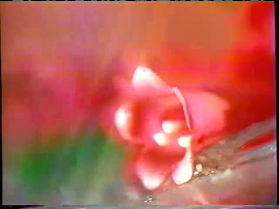 (September 4, 2006) KYW-TV/DT CBS 3 Philadelphia Commercials