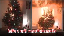 ประดับไฟต้นคริสต์มาสในบ้าน อันตราย..ที่ต้องรู้ แค่ 1 นาที อาจเสียบ้านทั้งหลัง