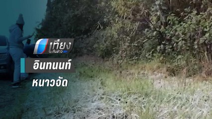 ดอยอินทนนท์หนาวจัด กิ่วแม่ปานแตะ 0 องศา เหมยขาบโผล่ 5 วันติดต่อกัน | เที่ยงทันข่าว