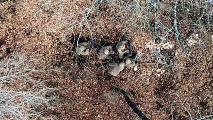 5 teröristin öldürüldüğü operasyona ait görüntüler - MUŞ