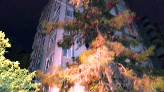 Şehre inen yaban domuzu, paniğe neden oldu