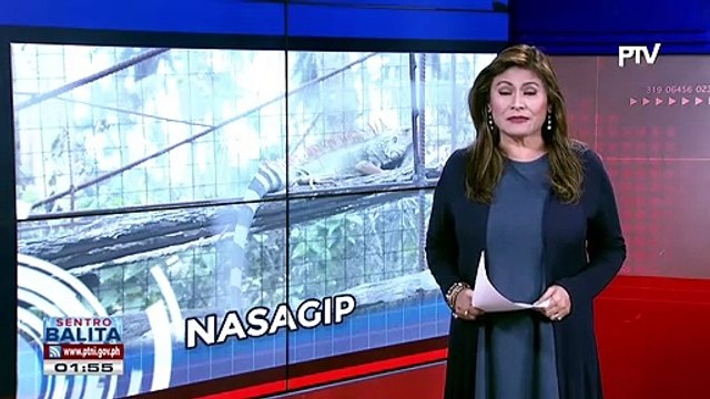 Ilang endangered species, nasagip ng DENR