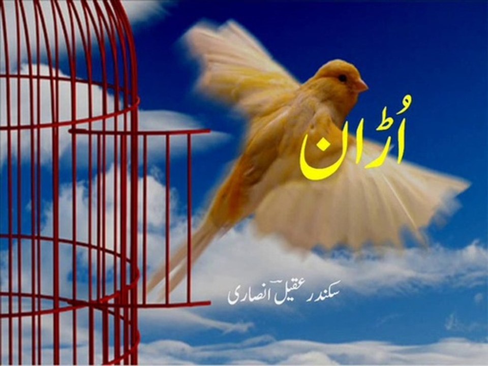 Urdu poetry - qataa 'urraan' -