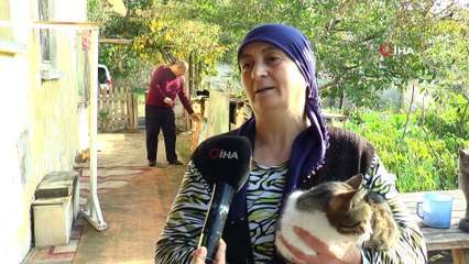 Evinde onlarca kedi besleyen fedakâr kadının mama çağrısı