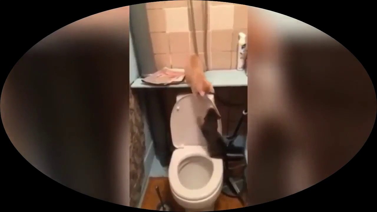 Funny Falling Down