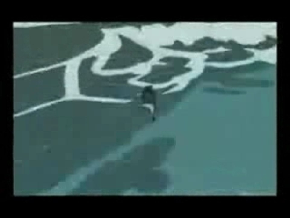 Naruto-Muse-Assassin (AMV)