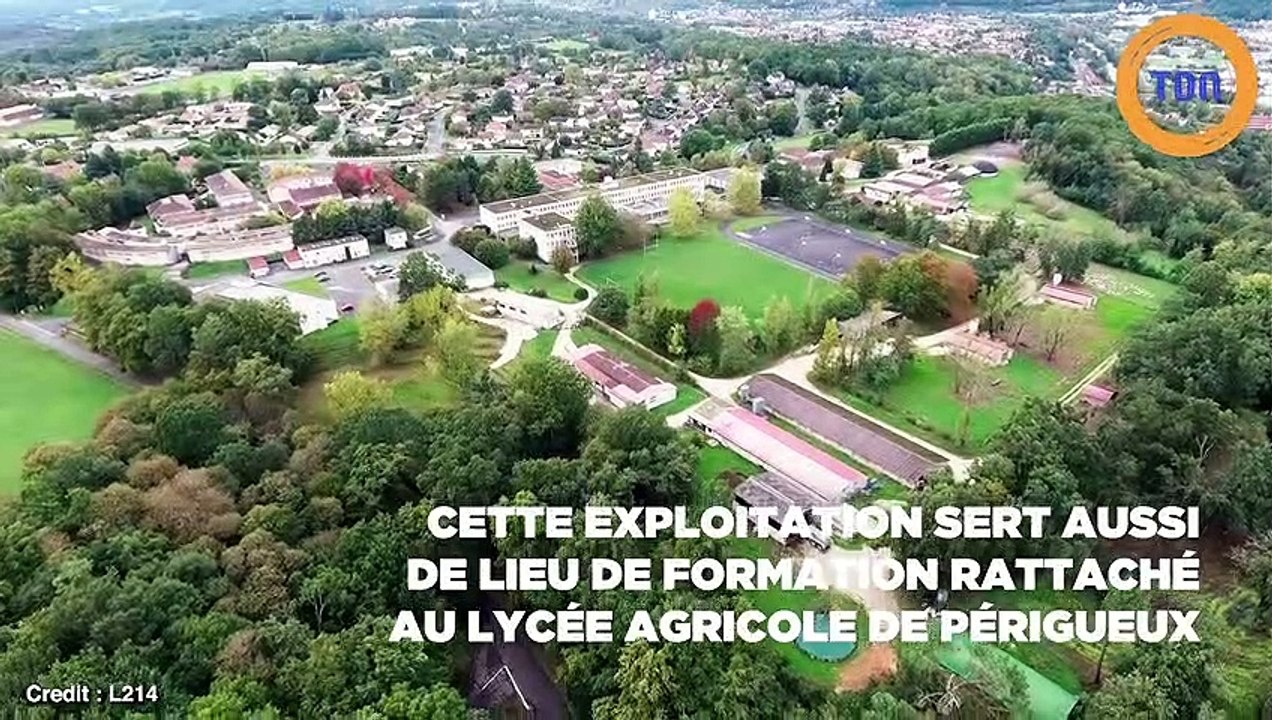 Un producteur de foie gras médaillé d’or au concours agricole épinglé par la L214