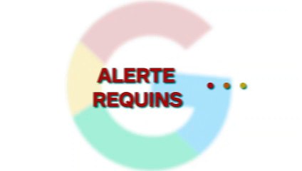 Un requin arrache le bras d’un plongeur