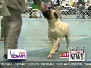 Blue Man Group - Paint Drumming