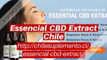 Essencial CBD Extract Chile - beneficios, costo, funciona o comprar