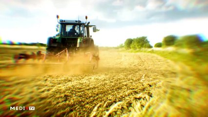 يوميات الفلاح - 11/12/2019