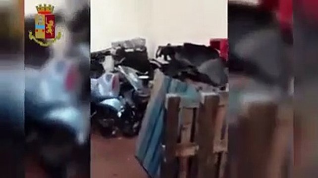 Misinto- Scoperto il capannone delle auto rubate e smontate (11.12.19)